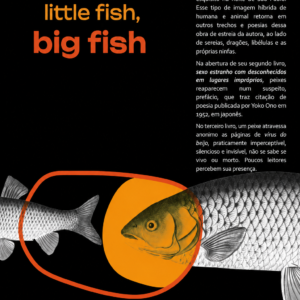 Little Fish Big Fish